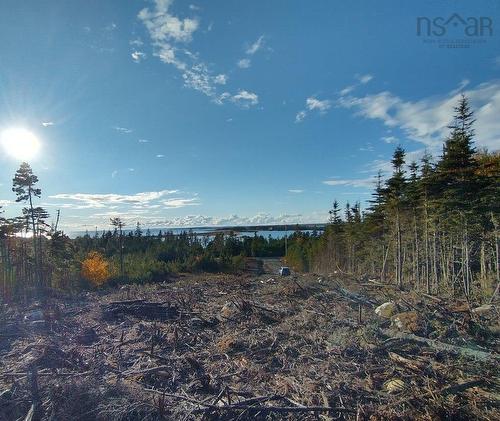 0 Ostrea Lake Road, Pleasant Point, NS 
