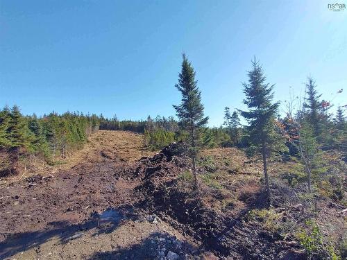 0 Ostrea Lake Road, Pleasant Point, NS 