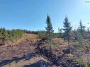 0 Ostrea Lake Road, Pleasant Point, NS 