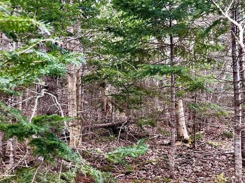 0 Main Rd., Hureauville, NS 