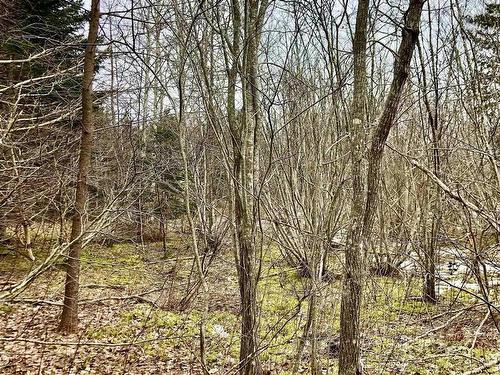 0 Main Rd., Hureauville, NS 