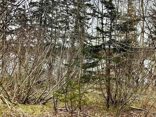 0 Main Rd., Hureauville, NS 