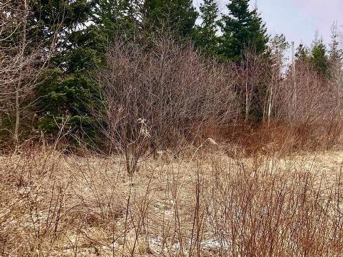 0 Main Rd., Hureauville, NS 