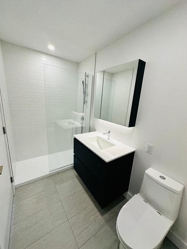 Bathroom - 315-1150 Boul. René-Lévesque E., Montréal (Ville-Marie), QC - Indoor Photo Showing Bathroom