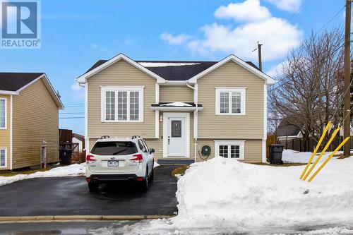 10 Dannic Place  Conception Bay South, NL A1X 7X5