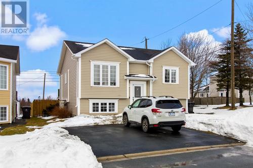 10 Dannic Place  Conception Bay South, NL A1X 7X5