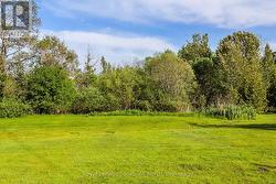 Rear Yard Grassed Area - Perfect for Walking Pets - 