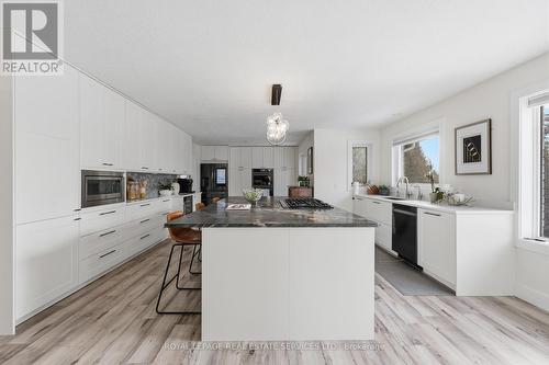 239 Rolling Acres Court, Kitchener, ON - Indoor Photo Showing Kitchen