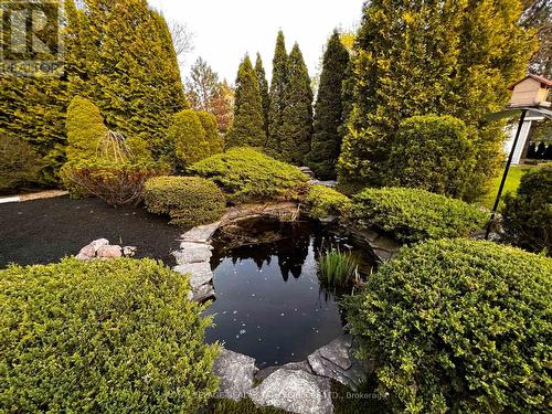 239 Rolling Acres Court, Kitchener, ON - Outdoor