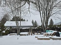 Garden boxes, fruit trees, bushes for the gardener - 