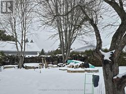 Another view of back yard garden space - 