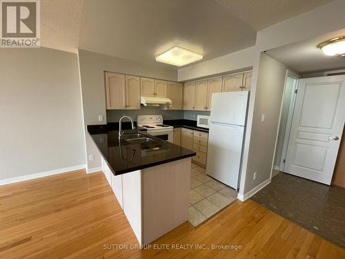 514 - 19 Northern Heights Drive, Richmond Hill, ON - Indoor Photo Showing Kitchen With Double Sink