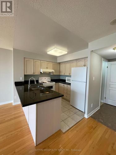 514 - 19 Northern Heights Drive, Richmond Hill, ON - Indoor Photo Showing Kitchen With Double Sink