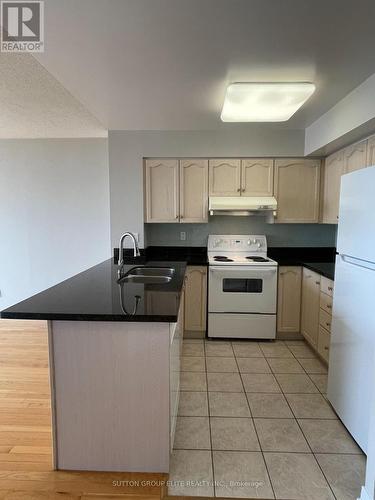514 - 19 Northern Heights Drive, Richmond Hill, ON - Indoor Photo Showing Kitchen With Double Sink