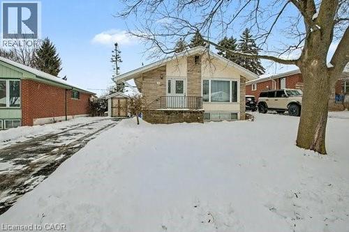 11 Carwyn Crescent, Hamilton, ON - Outdoor