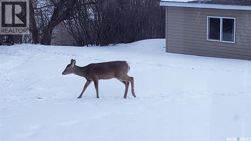 91 Moir Drive, Oxbow, SK - Outdoor