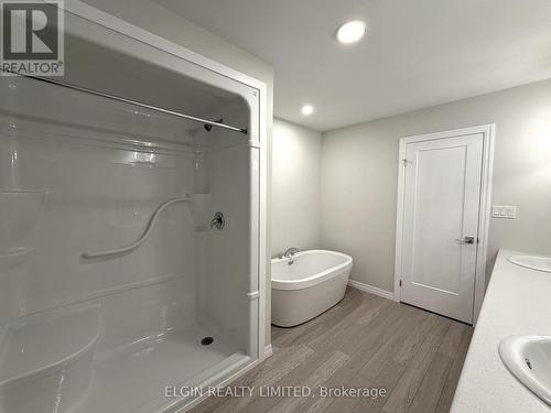 55 Woodcock Drive, Tillsonburg, ON - Indoor Photo Showing Bathroom