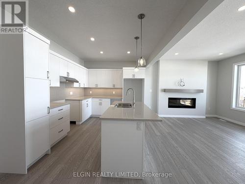 55 Woodcock Drive, Tillsonburg, ON - Indoor Photo Showing Kitchen With Fireplace With Double Sink