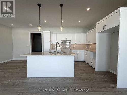 55 Woodcock Drive, Tillsonburg, ON - Indoor Photo Showing Kitchen With Double Sink