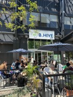 2313 Rue Ste-Catherine O.  Montréal (Ville-Marie), QC H3H 1N2