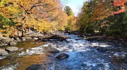Vue sur l'eau - 2222  - 2334 Boul. De Ste-Adèle, Sainte-Adèle, QC - Outdoor