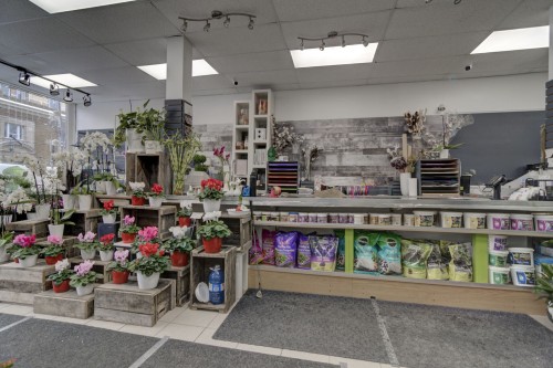 Commerce - 33 Av. Westminster N., Montréal-Ouest, QC 
