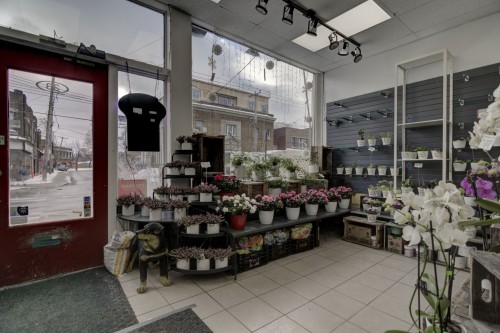 Commerce - 33 Av. Westminster N., Montréal-Ouest, QC 