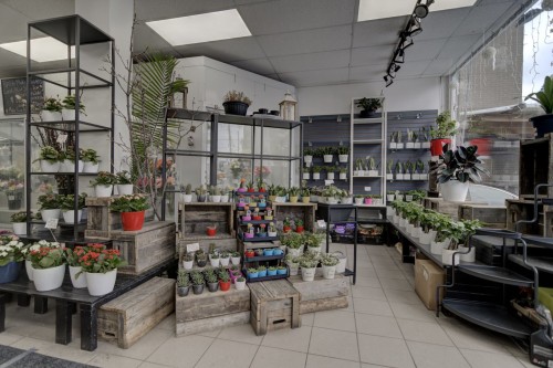 Commerce - 33 Av. Westminster N., Montréal-Ouest, QC 
