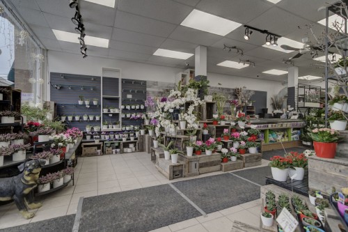 Commerce - 33 Av. Westminster N., Montréal-Ouest, QC 