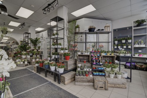 Commerce - 33 Av. Westminster N., Montréal-Ouest, QC 