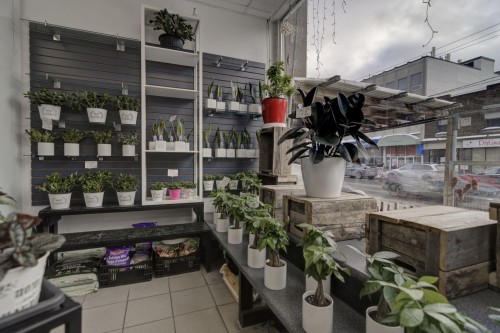 Commerce - 33 Av. Westminster N., Montréal-Ouest, QC 