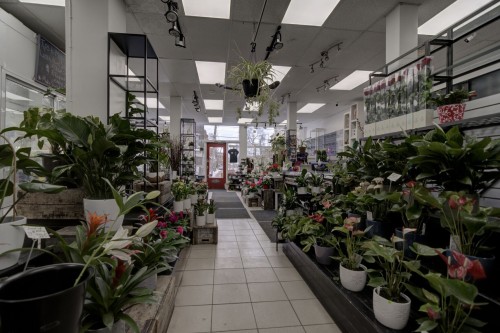 Commerce - 33 Av. Westminster N., Montréal-Ouest, QC 