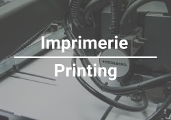 11905  - 11915 Av. Bellevois  Montréal (Montréal-Nord), QC H1H 3G2