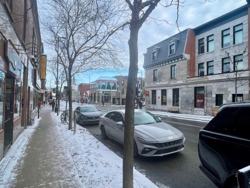 Exterior - 367 Av. Du Mont-Royal E., Montréal (Le Plateau-Mont-Royal), QC 
