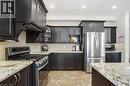 223 Annabelle Street, Hamilton, ON  - Indoor Photo Showing Kitchen With Upgraded Kitchen 