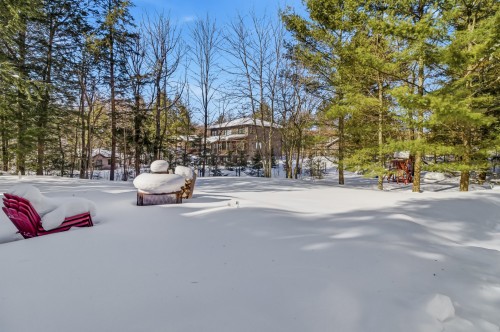 Cour - 23 Ch. Phaneuf, Orford, QC - Outdoor With View