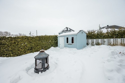 Cour - 298 Rue Provost, Napierville, QC - Outdoor