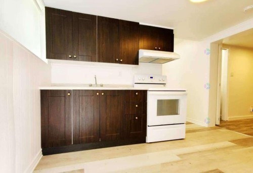 Cuisine - 2808 Rue Mcwillis, Montréal (Saint-Laurent), QC - Indoor Photo Showing Kitchen