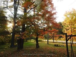 Nicely treed front and side yards - 
