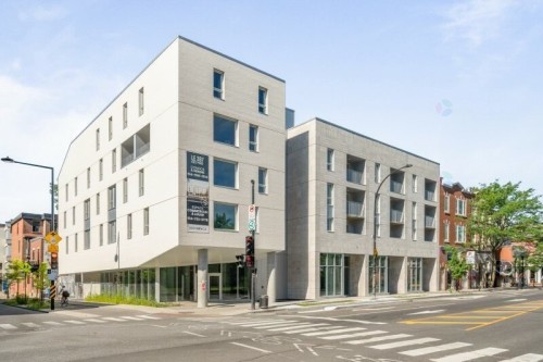 Front of Structure - 303-367 Av. Des Pins E., Montréal (Le Plateau-Mont-Royal), QC - Outdoor With Facade