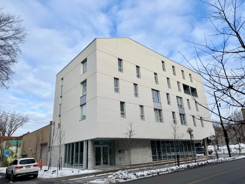 Front of Structure - 303-367 Av. Des Pins E., Montréal (Le Plateau-Mont-Royal), QC - Outdoor