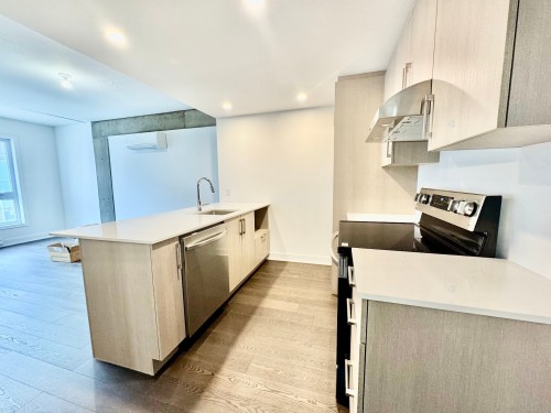 Kitchen - 303-367 Av. Des Pins E., Montréal (Le Plateau-Mont-Royal), QC - Indoor Photo Showing Kitchen