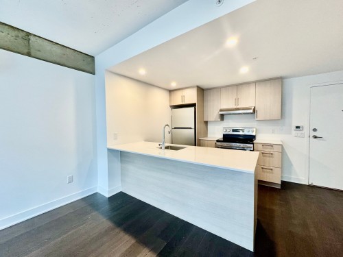 Kitchen - 303-367 Av. Des Pins E., Montréal (Le Plateau-Mont-Royal), QC - Indoor Photo Showing Kitchen