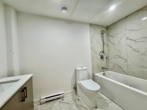 Bathroom - 303-367 Av. Des Pins E., Montréal (Le Plateau-Mont-Royal), QC - Indoor Photo Showing Bathroom