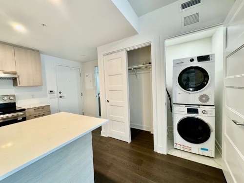 Laundry - 303-367 Av. Des Pins E., Montréal (Le Plateau-Mont-Royal), QC - Indoor Photo Showing Laundry Room