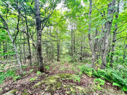 Vue d'ensemble - Ch. Lisbourg, Wentworth-Nord, QC 