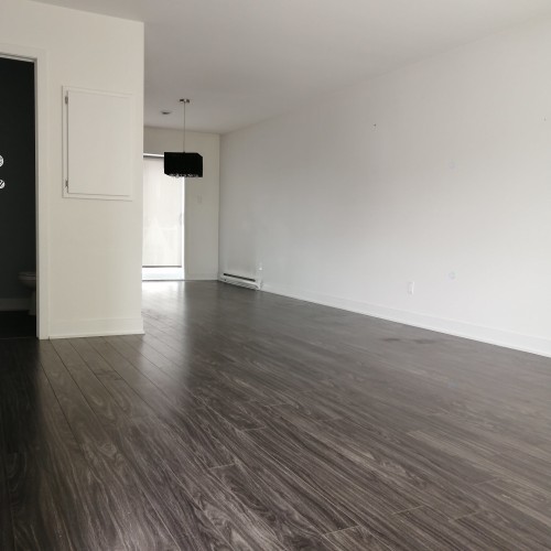 Salon - 1-203 Rue St-Eugène, Salaberry-De-Valleyfield, QC - Indoor Photo Showing Other Room