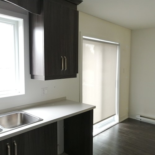 Salle de bains - 1-203 Rue St-Eugène, Salaberry-De-Valleyfield, QC - Indoor Photo Showing Kitchen