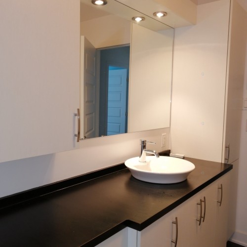 Salle de bains - 1-203 Rue St-Eugène, Salaberry-De-Valleyfield, QC - Indoor Photo Showing Bathroom