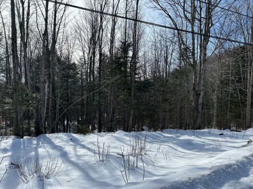 Lot - Ch. Des Riverains, Austin, QC 